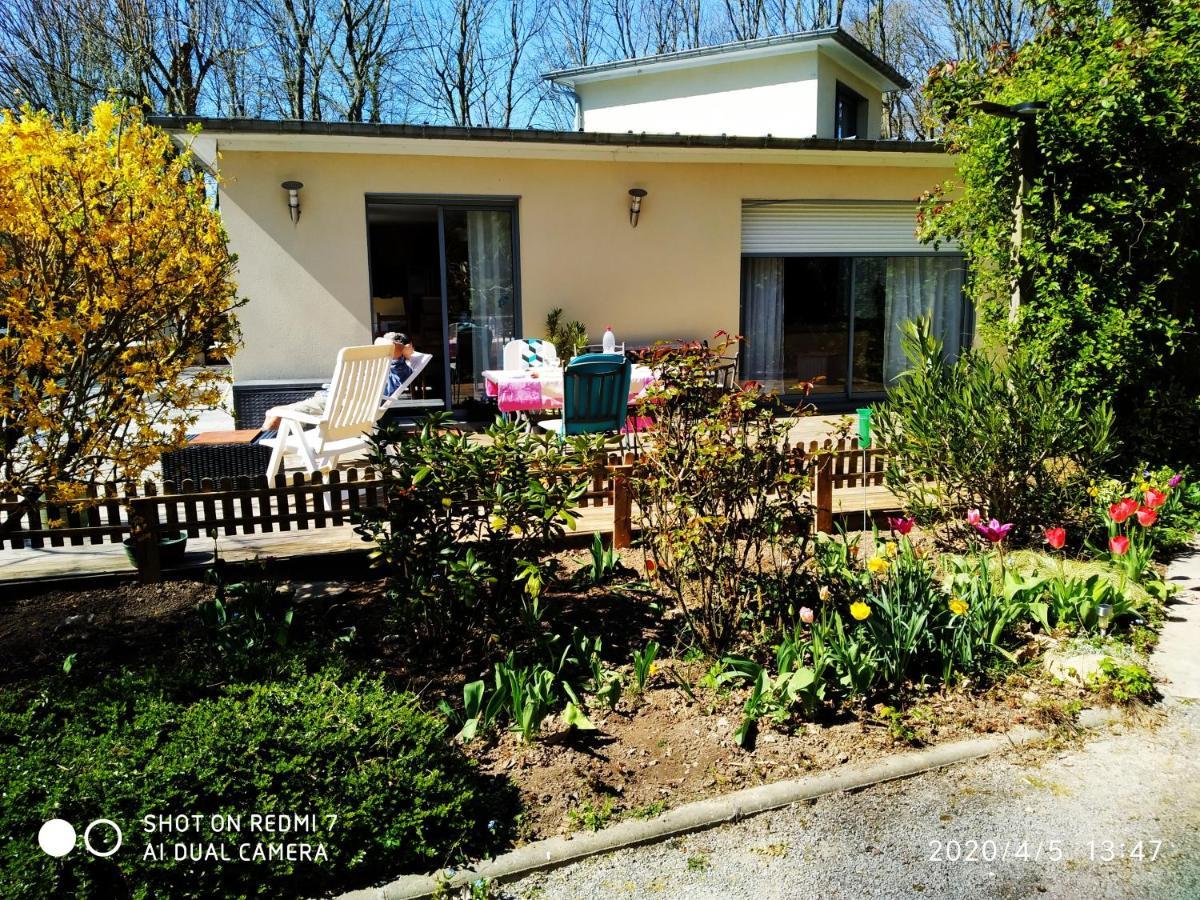 Holly Wood Apartment Ault Exterior photo